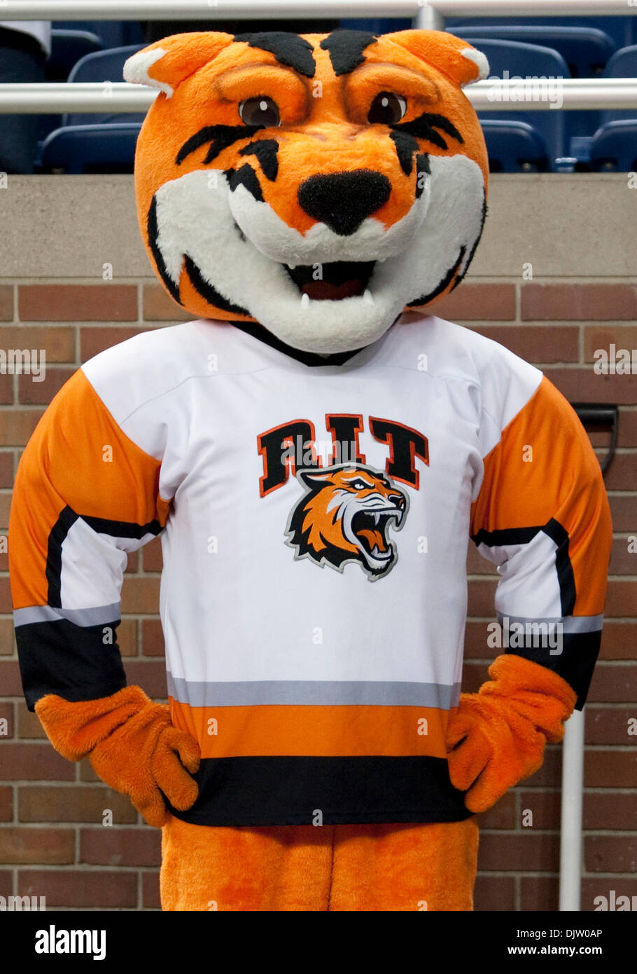 My Ford Credit >> RIT mascot during game action between the Wisconsin Badgers and the Stock Photo: 63244014 - Alamy My Ford Credit >> RIT mascot during game action between the Wisconsin Badgers and the Stock Photo: 63244014 - Alamy
