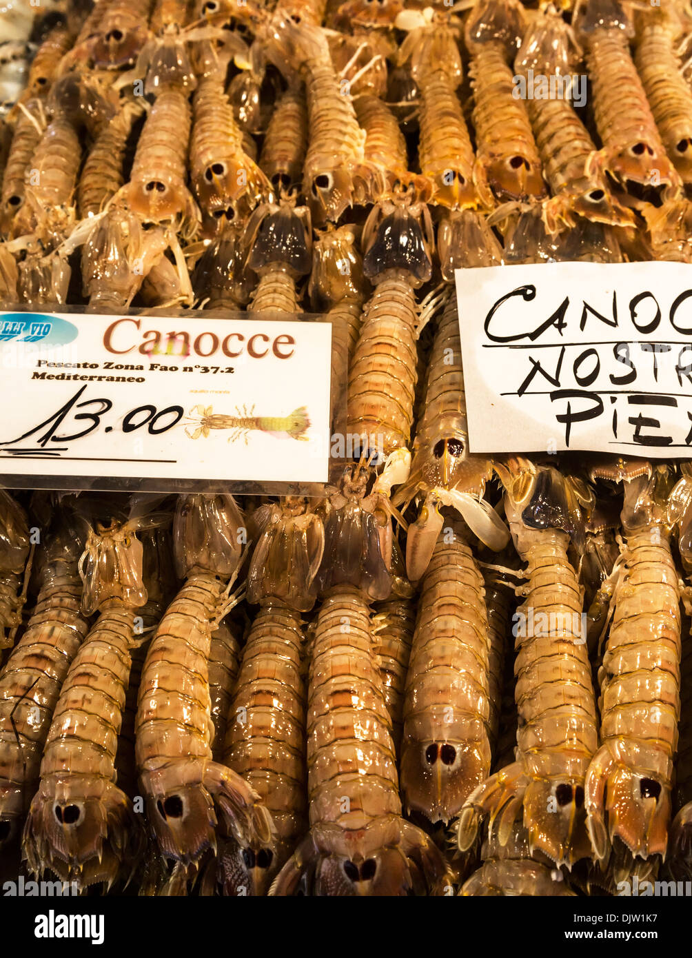 Mantis shrimp for sale in Mercato di Rialto market, Venice, Italy Stock