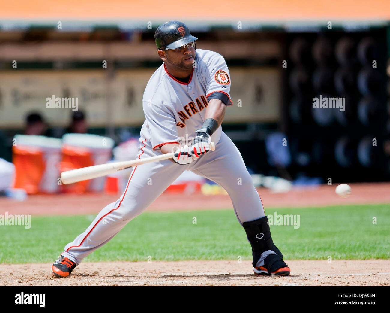 May 22, 2010 San Francisco Giants third baseman Pablo Sandoval (48) in