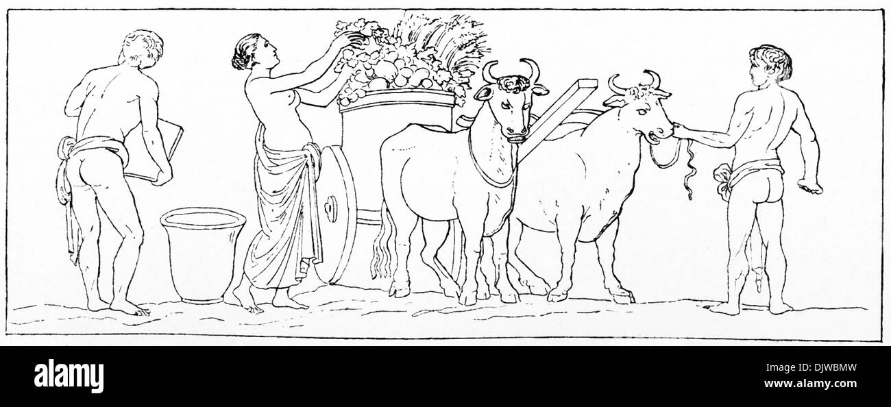 Two Roman peasants are working, along with a woman who is piling apples, grapes, corn, and more into a cart drawn by oxen. Stock Photo
