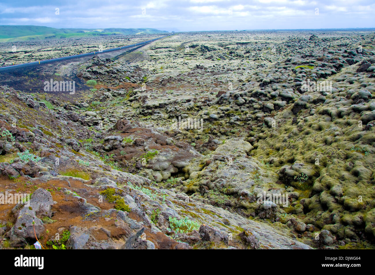 Moss covered rocks, Fjadrargljufur, Iceland Stock Photo