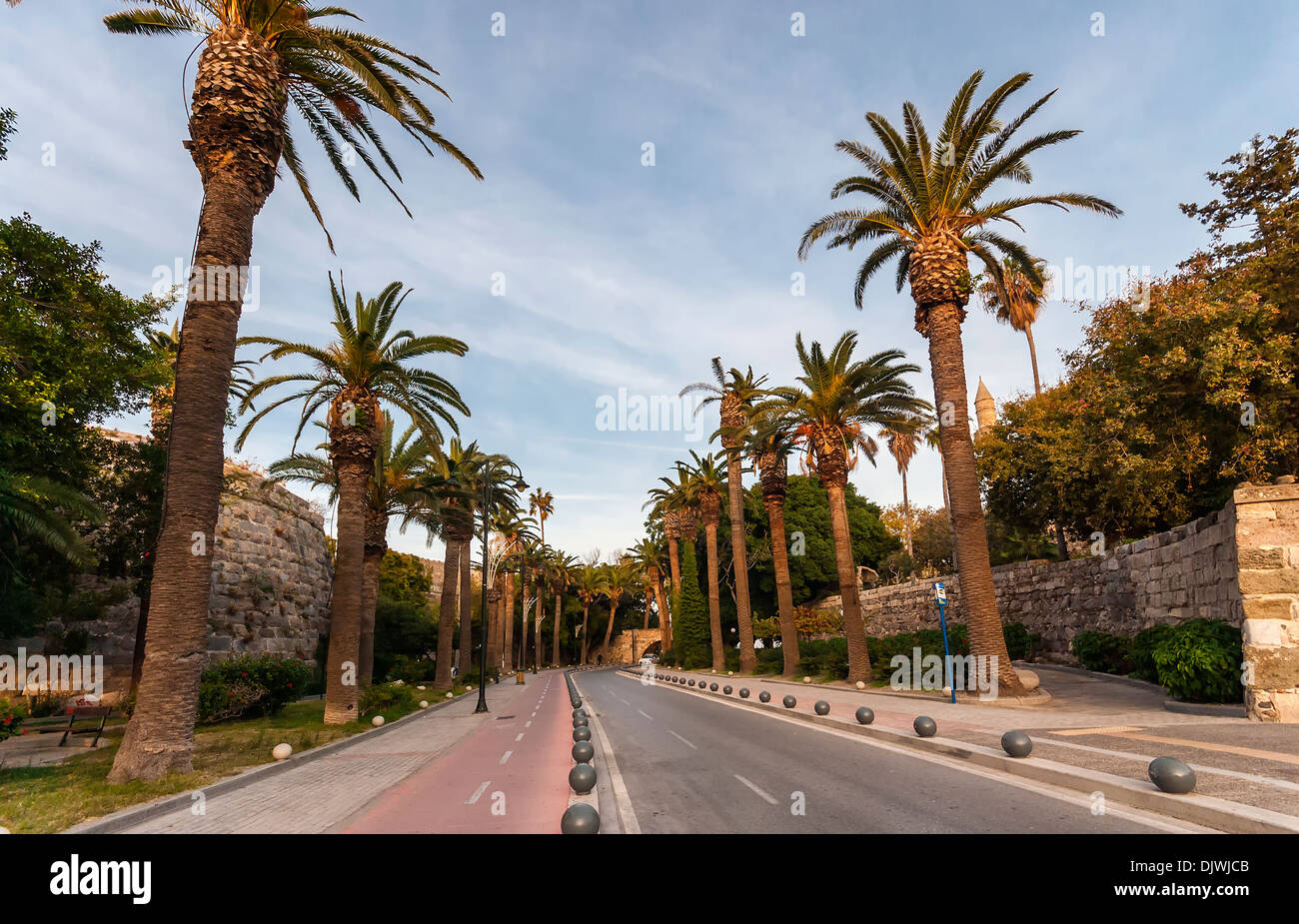 Avenue of palm in Kos island Greece Stock Photo