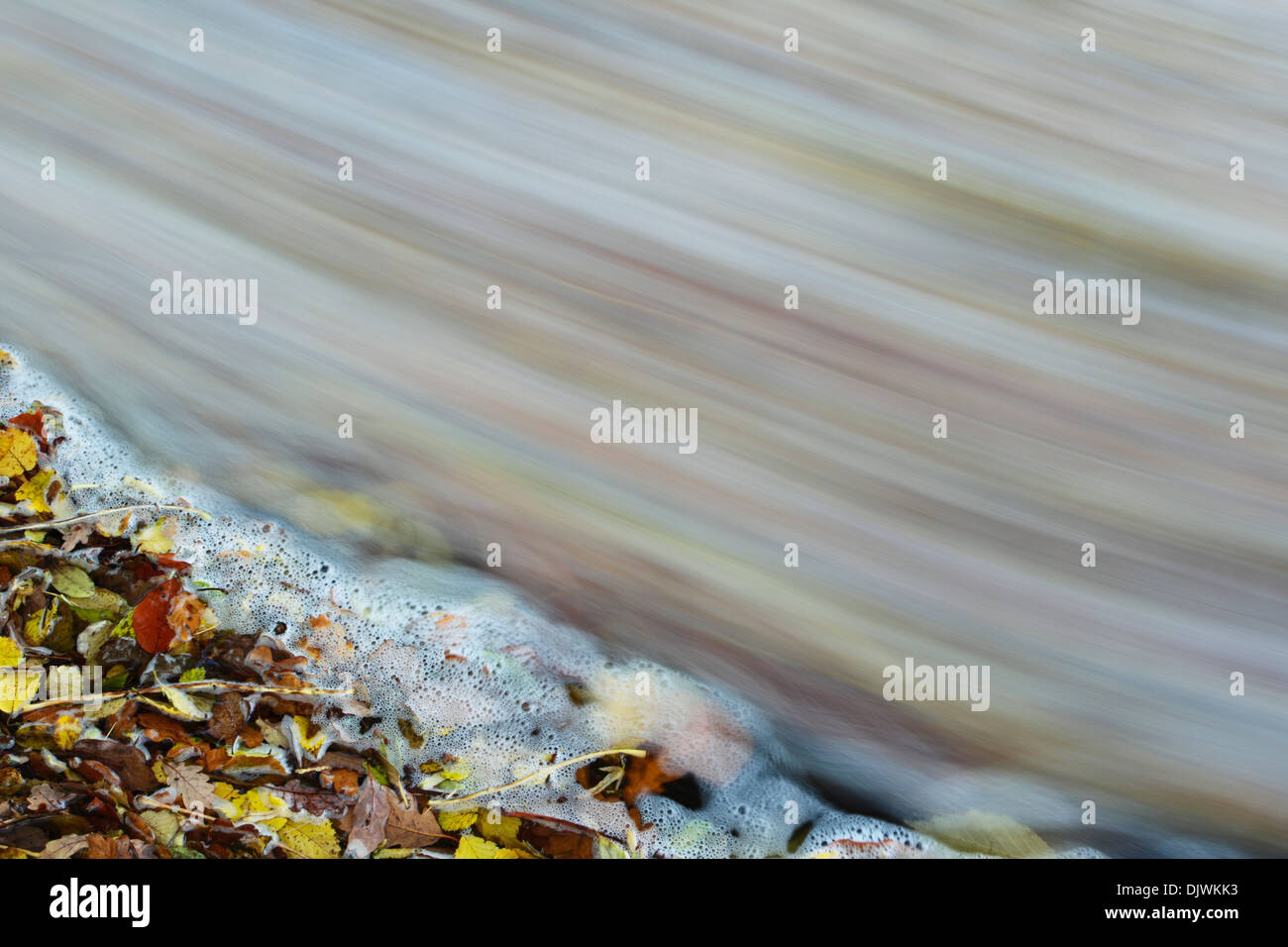 Abstract patterns made by foam on a small stream circulating around with autumn coloured leaves trapped at the edge Stock Photo