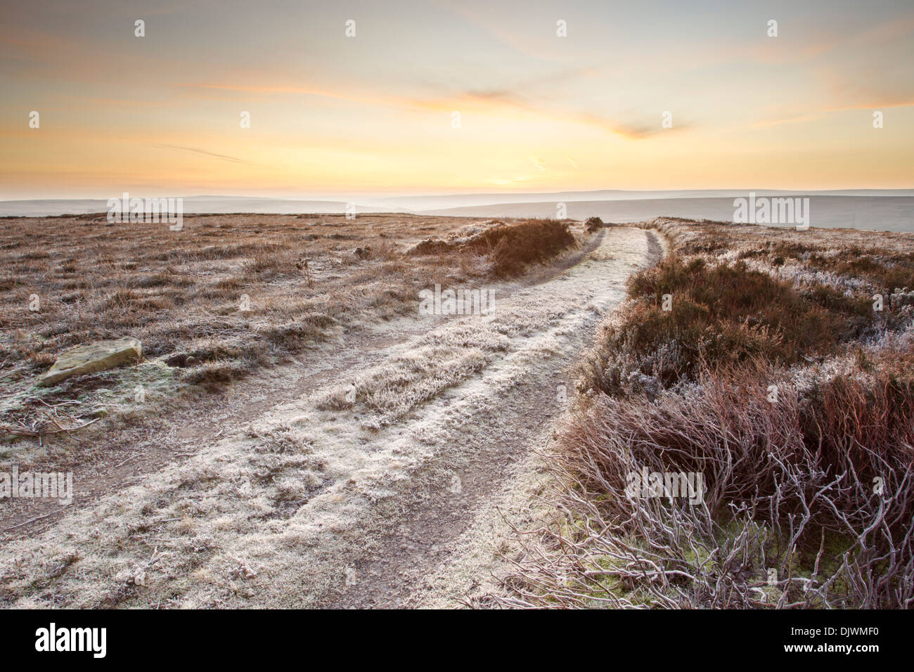A moorland track cutting through frost covered heather at dawn on Commondale Moor in the North York Moors National Park Stock Photo