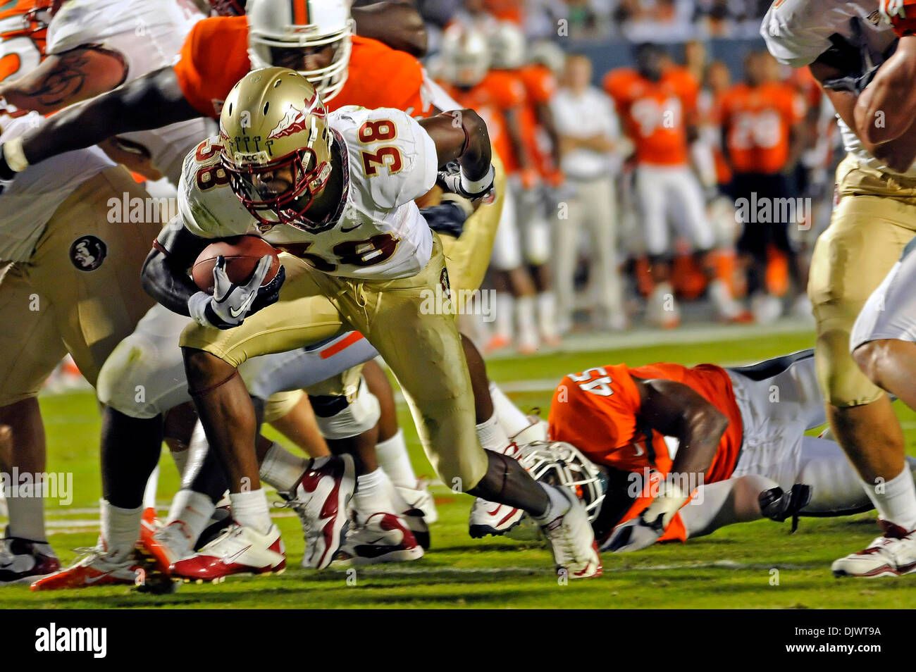 Oct. 10, 2010 - Miami, Florida, United States of America - October 9, 2010: FSU RB Jermaine Thomas (38) breaks through the Miami defensive line to score an FSU touchdown against the Hurricanes. FSU defeated Miami 45-17 at Sun Life Stadium in Miami, Florida. (Credit Image: © Mike Olivella/ZUMApress.com) Stock Photo