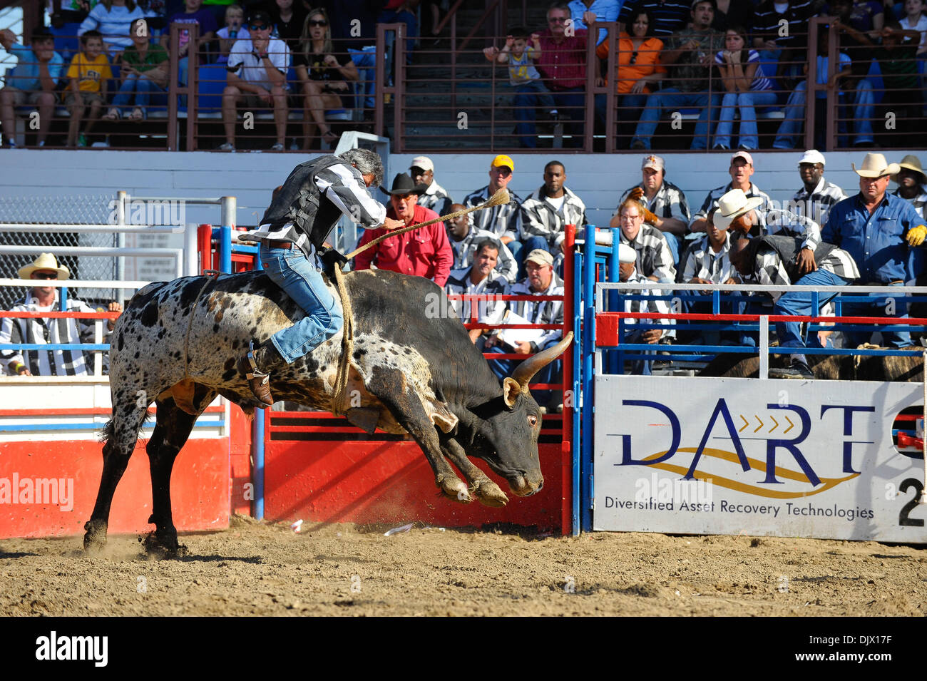 Oct 17, 2010 - Angola, Louisiana, U.S. - Convicts compete in the bull ...