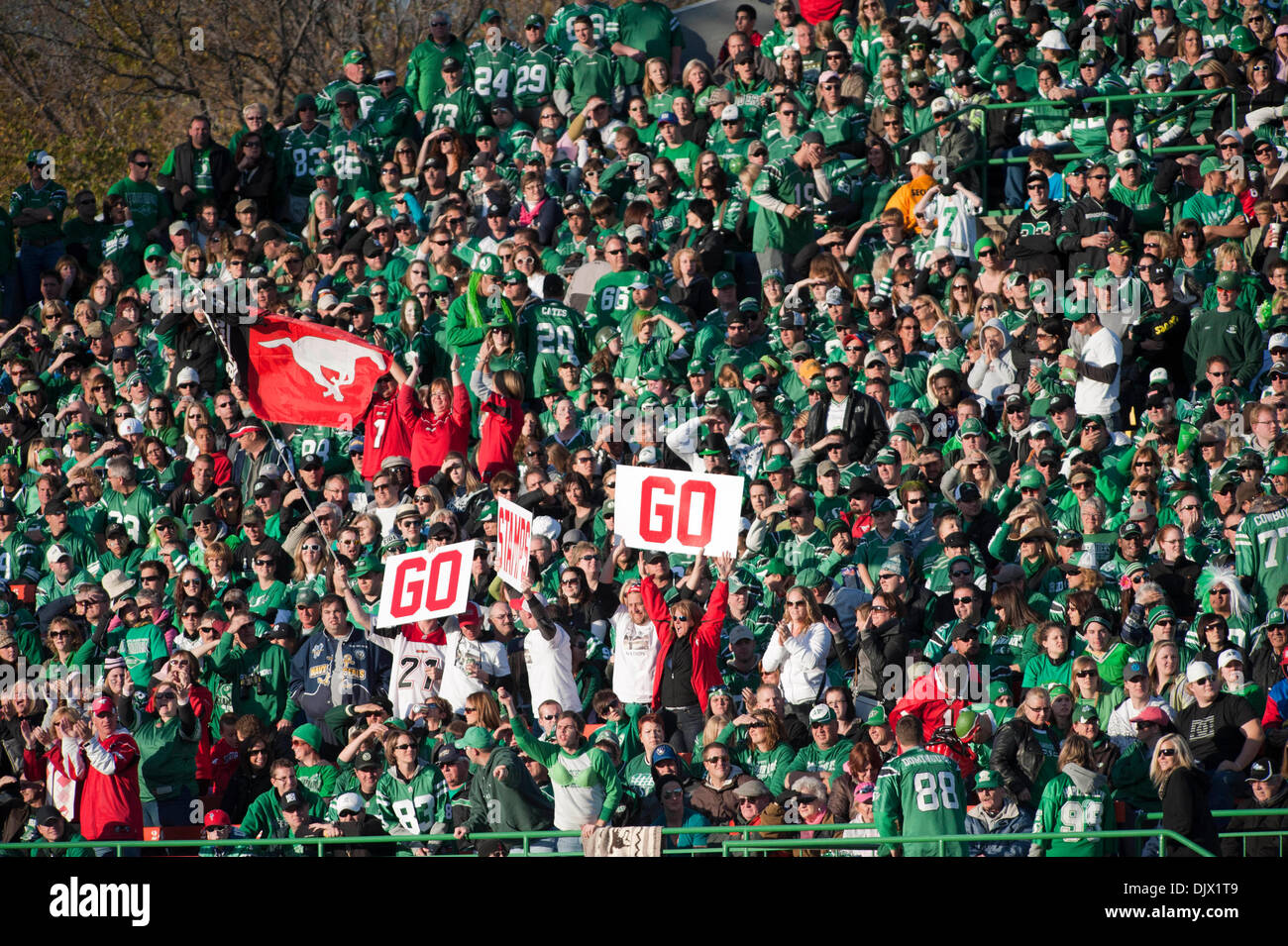 Saskatchewan roughriders fans hi-res stock photography and images - Alamy