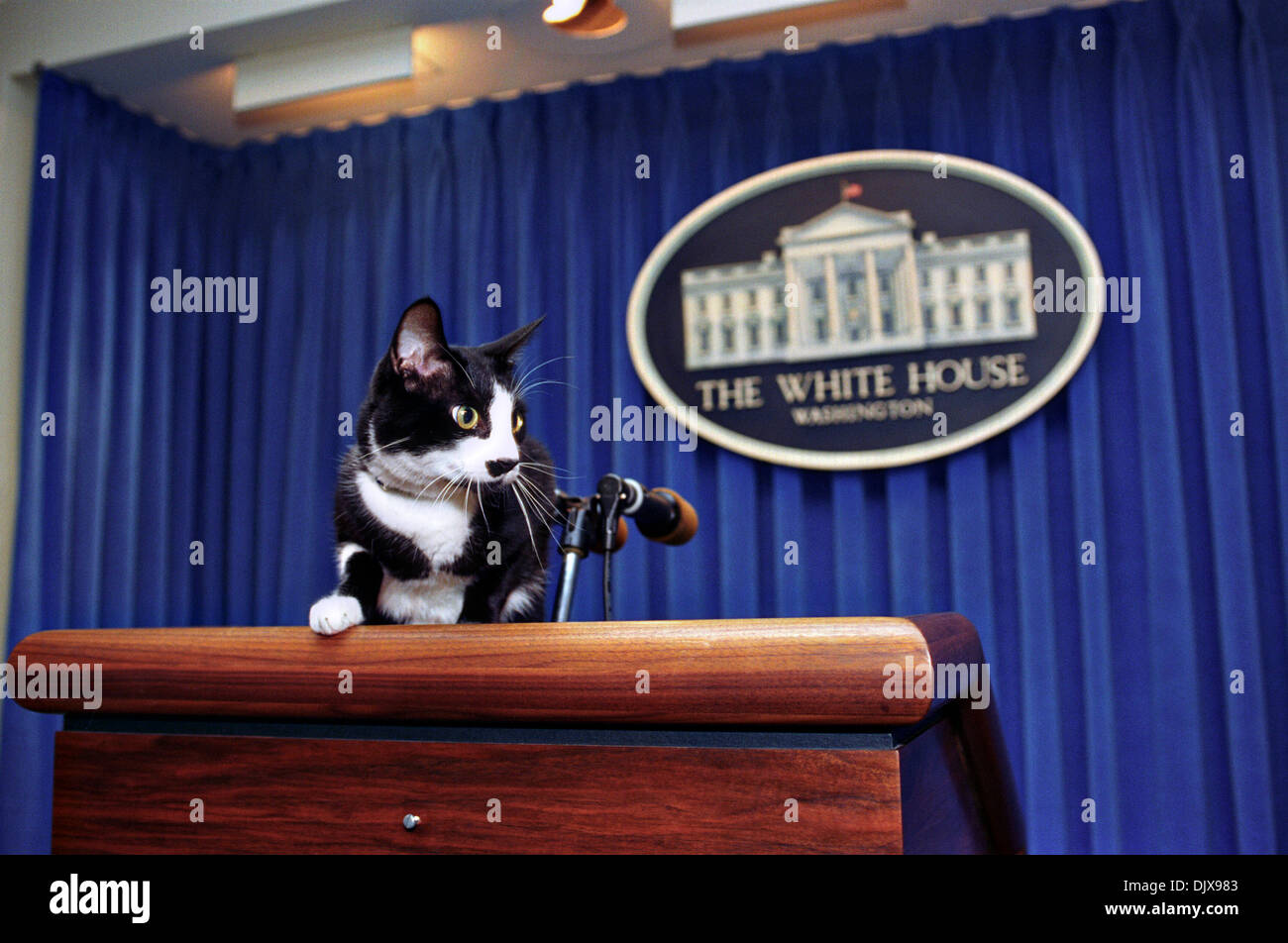 Socks the First Cat stands on the podium in the White House Briefing Room December 5, 1993 in Washington, DC. Stock Photo