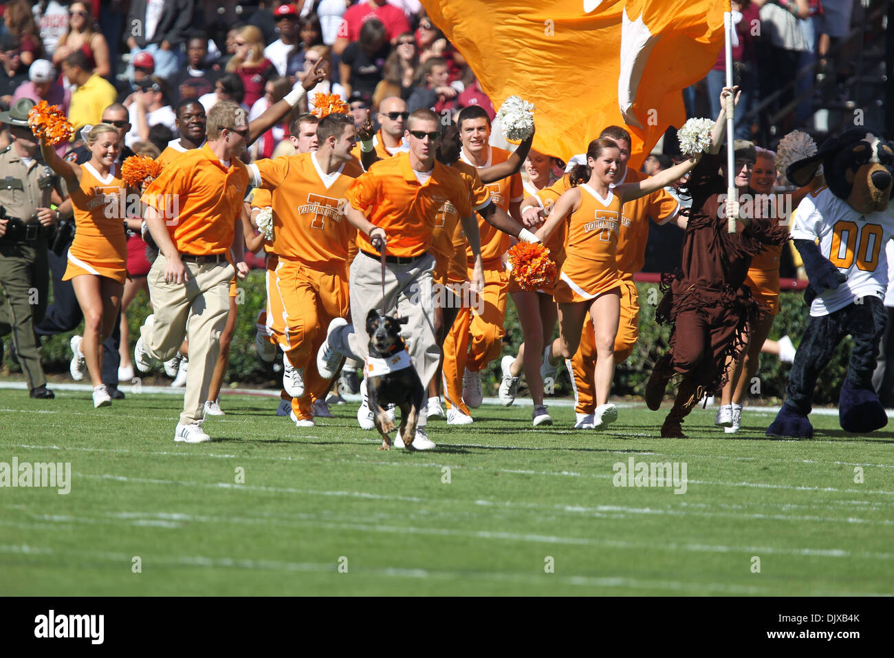 Oct. 30, 2010 - Columbia, South Carolina, United States of America - The Volunteer Cheerleaders of Tennessee and Smokey lead their team onto the field against the Gamecocks. FInal score is South Carolina 38-Tennessee 24. (Credit Image: © Jim Dedmon/Southcreek Global/ZUMApress.com) Stock Photo