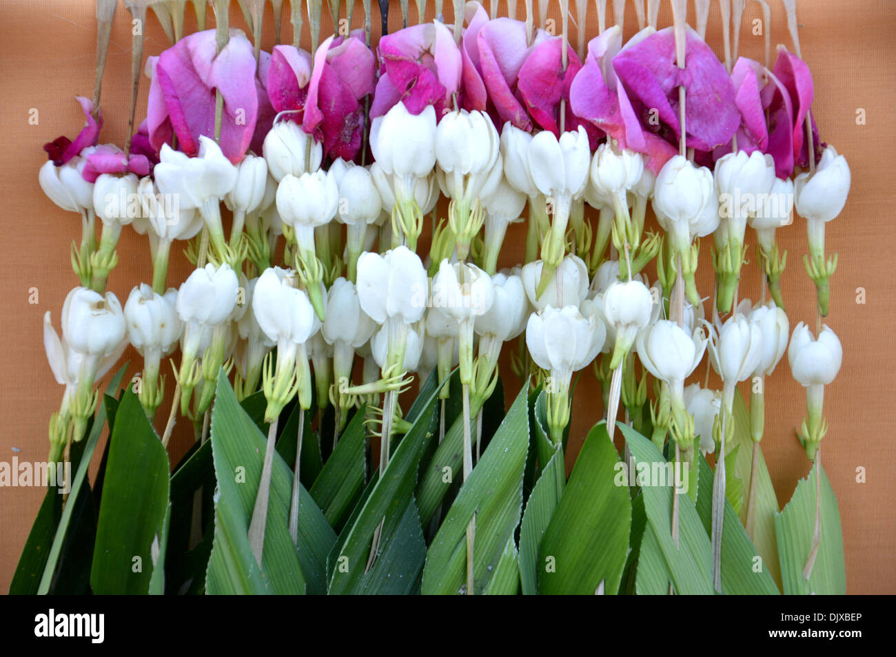 chain of flowers on chinese ceremony Stock Photo Alamy