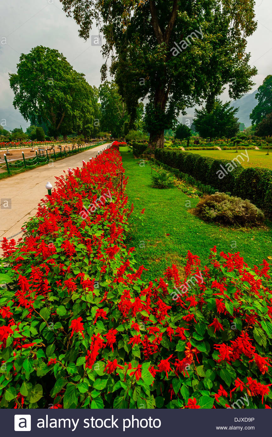 Shalimar Kashmir Stock Photos & Shalimar Kashmir Stock Images Alamy