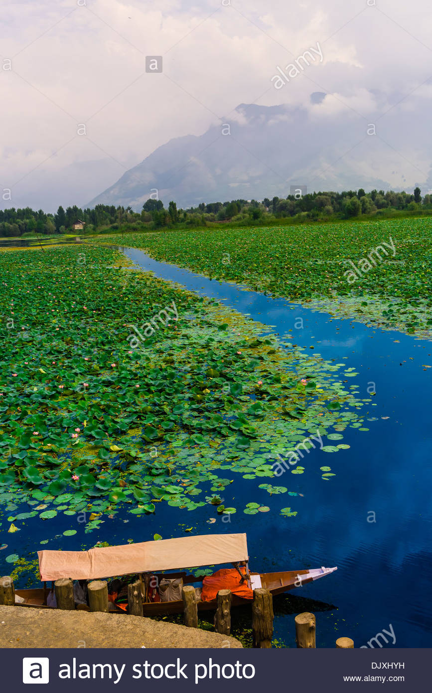 Floating Gardens Stock Photos & Floating Gardens Stock Images Alamy
