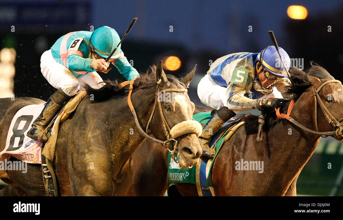 Nov 6 10 Louisville Ky Usa Horse No 5 Blame With Garrett Stock Photo Alamy