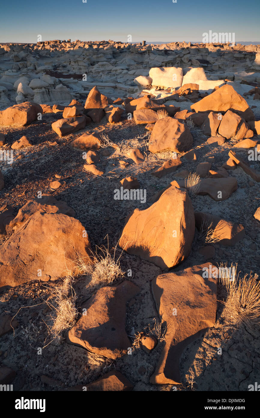 Hoodoos and strange rock formations as far as the eye can see at sunrise. Bisti/De-Na-Zin Wilderness, New Mexico, USA. Stock Photo