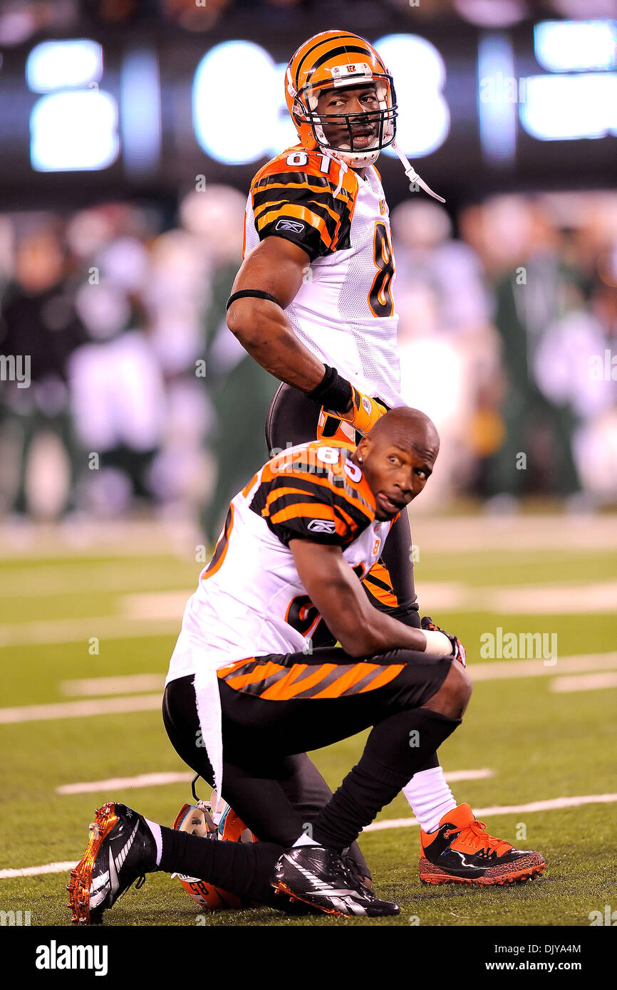 12 September 2010:Wide Receiver Terrell Owens #81 waits for the ball to be  snapped during the Bengals game against the Patriots at Gillette Stadium in  Foxboro, MA (Icon Sportswire via AP Images