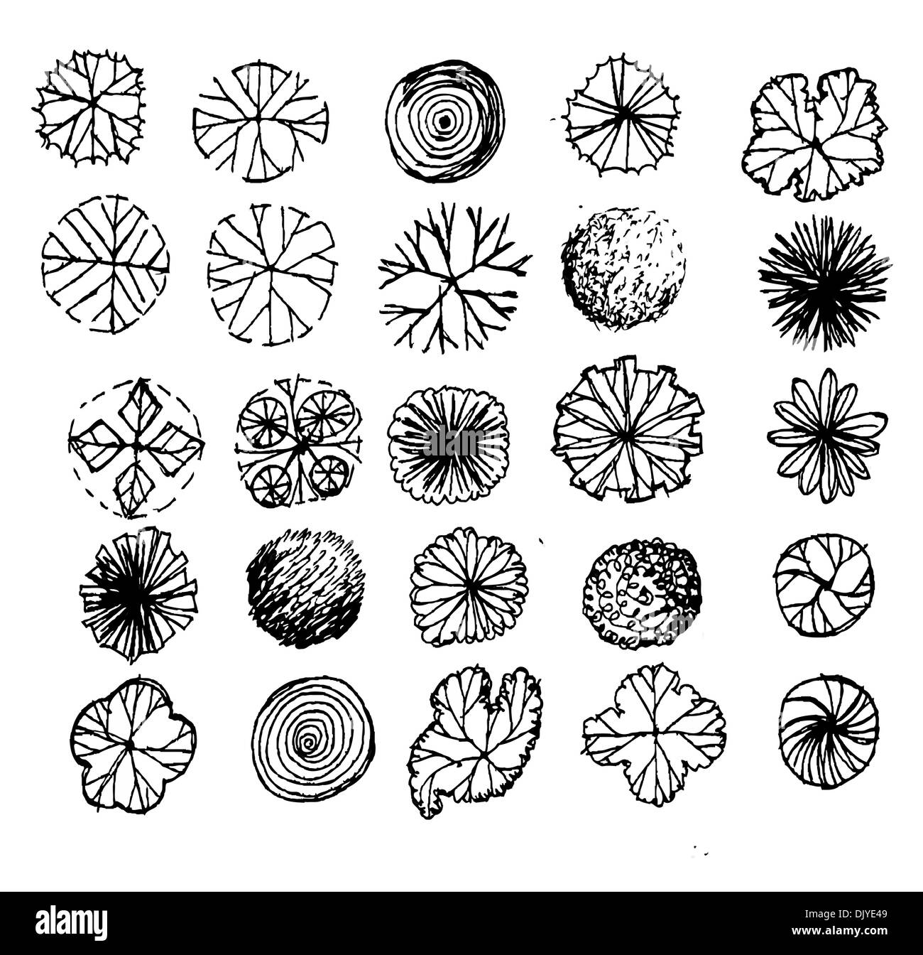 Trees top view for architecture landscape design projects Stock Photo