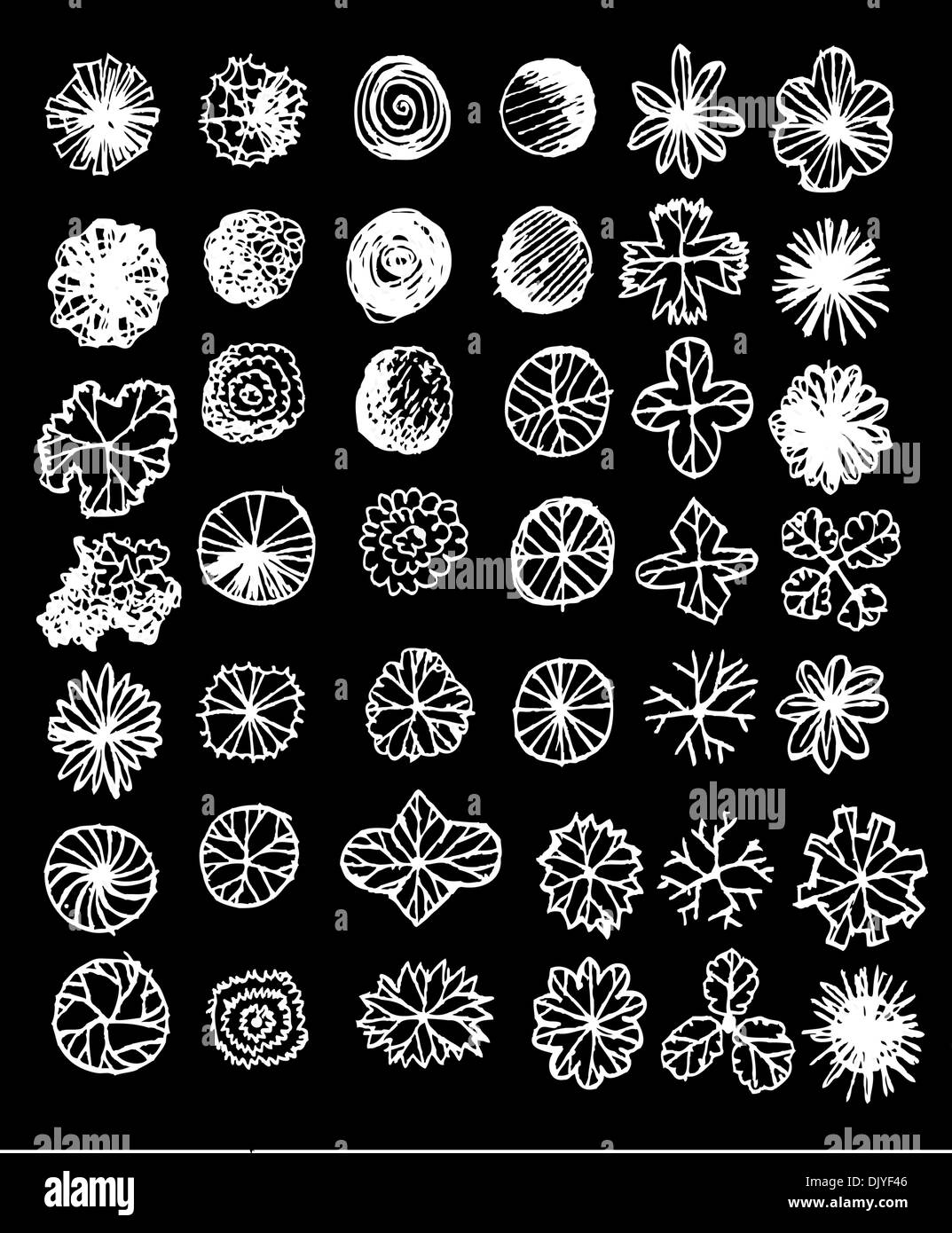 Trees top view for architecture landscape design projects Stock Photo