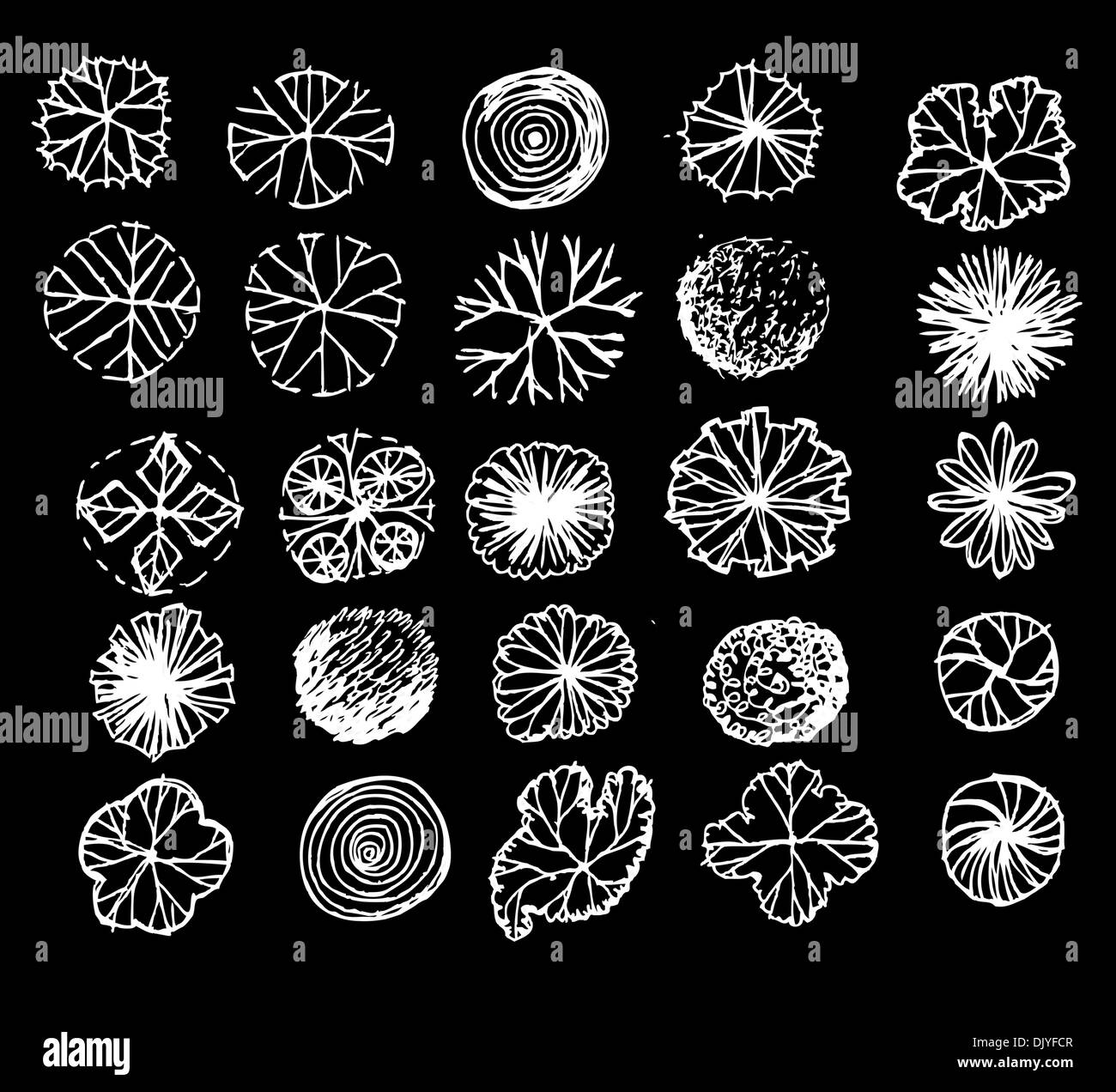 Trees top view for architecture landscape design projects Stock Photo