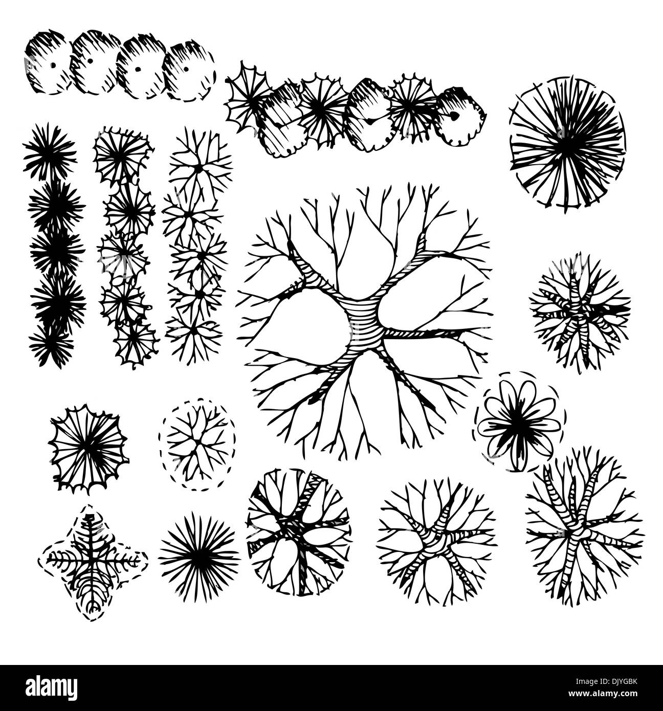 Trees top view for architecture landscape design projects Stock Photo