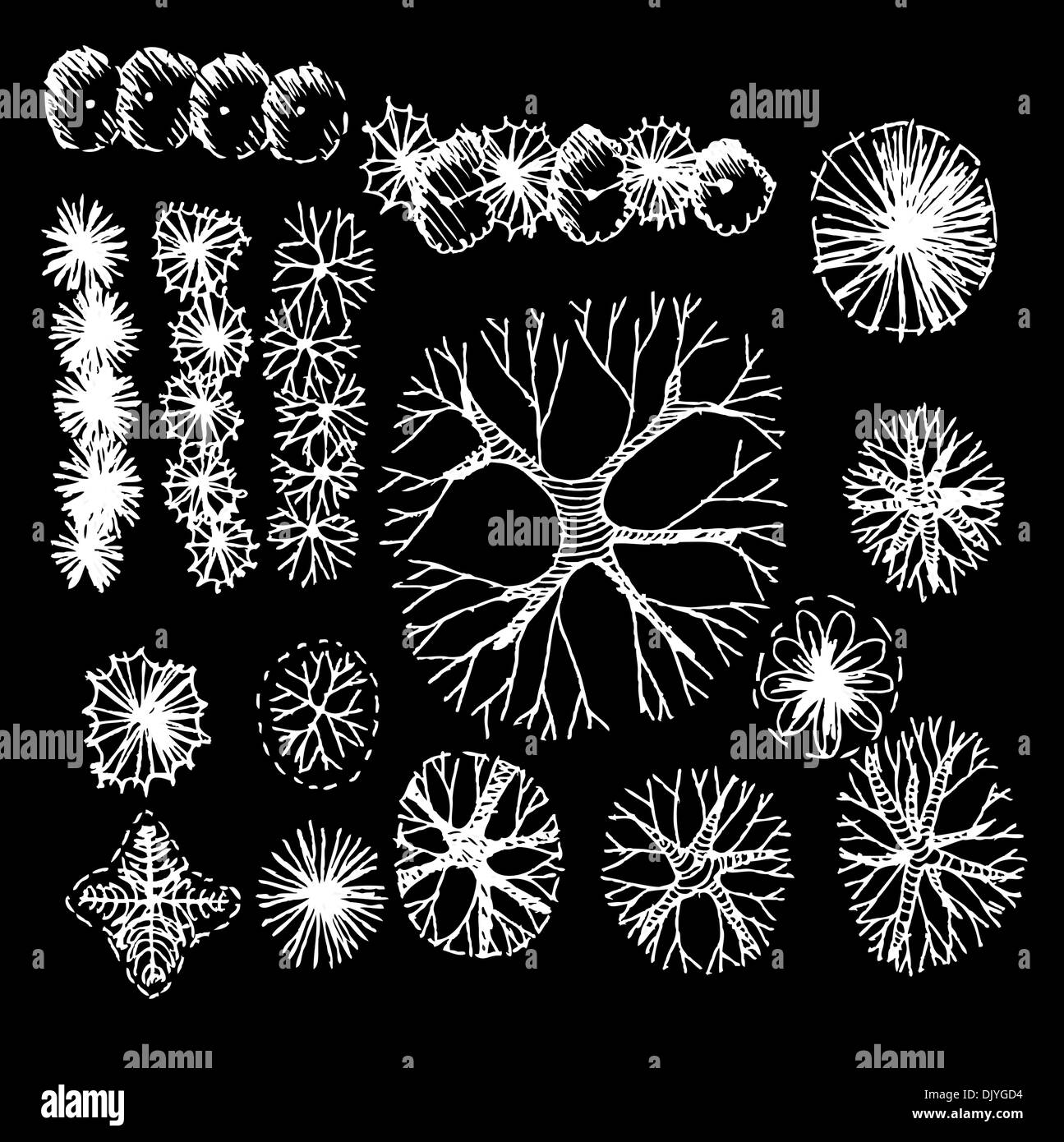 Trees top view for architecture landscape design projects Stock Photo