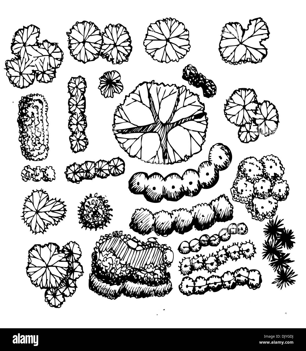 Trees top view for architecture landscape design projects Stock Photo