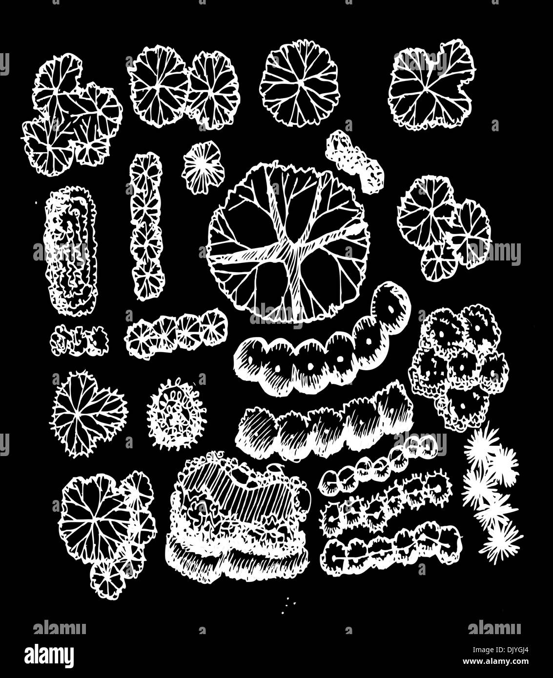 Trees top view for architecture landscape design projects Stock Photo