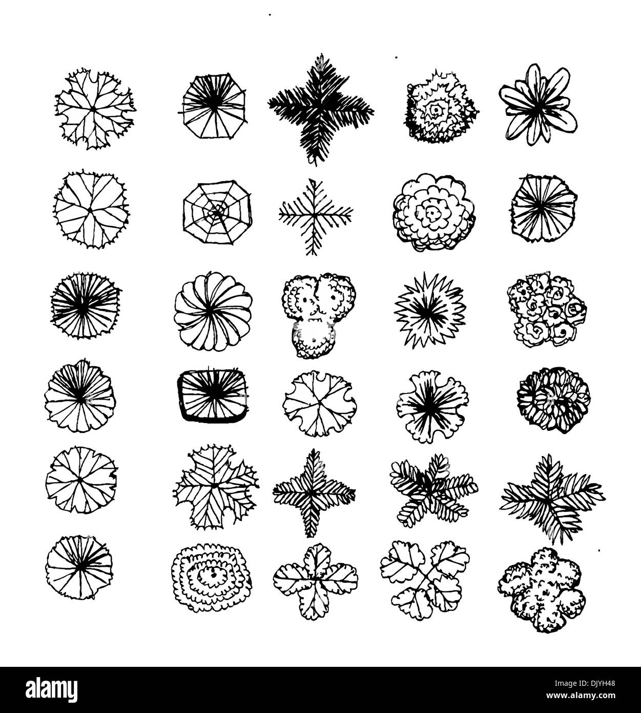 Trees top view for architecture landscape design projects Stock Photo