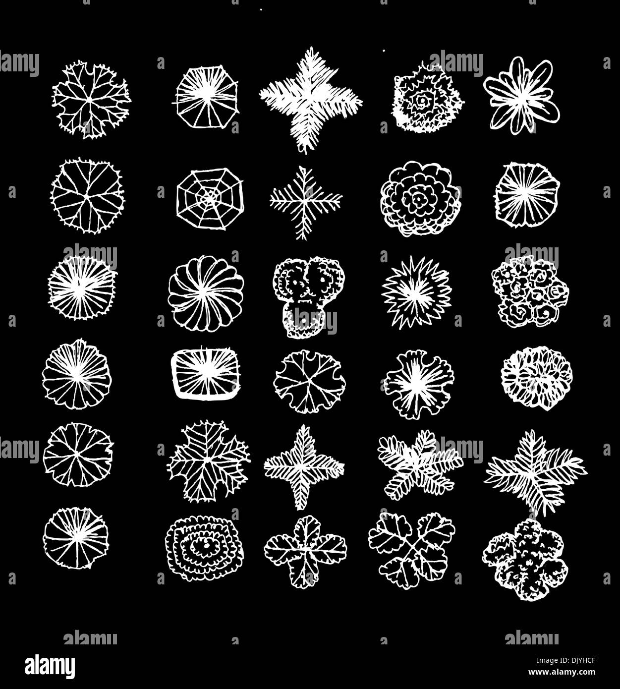 Trees top view for architecture landscape design projects Stock Photo