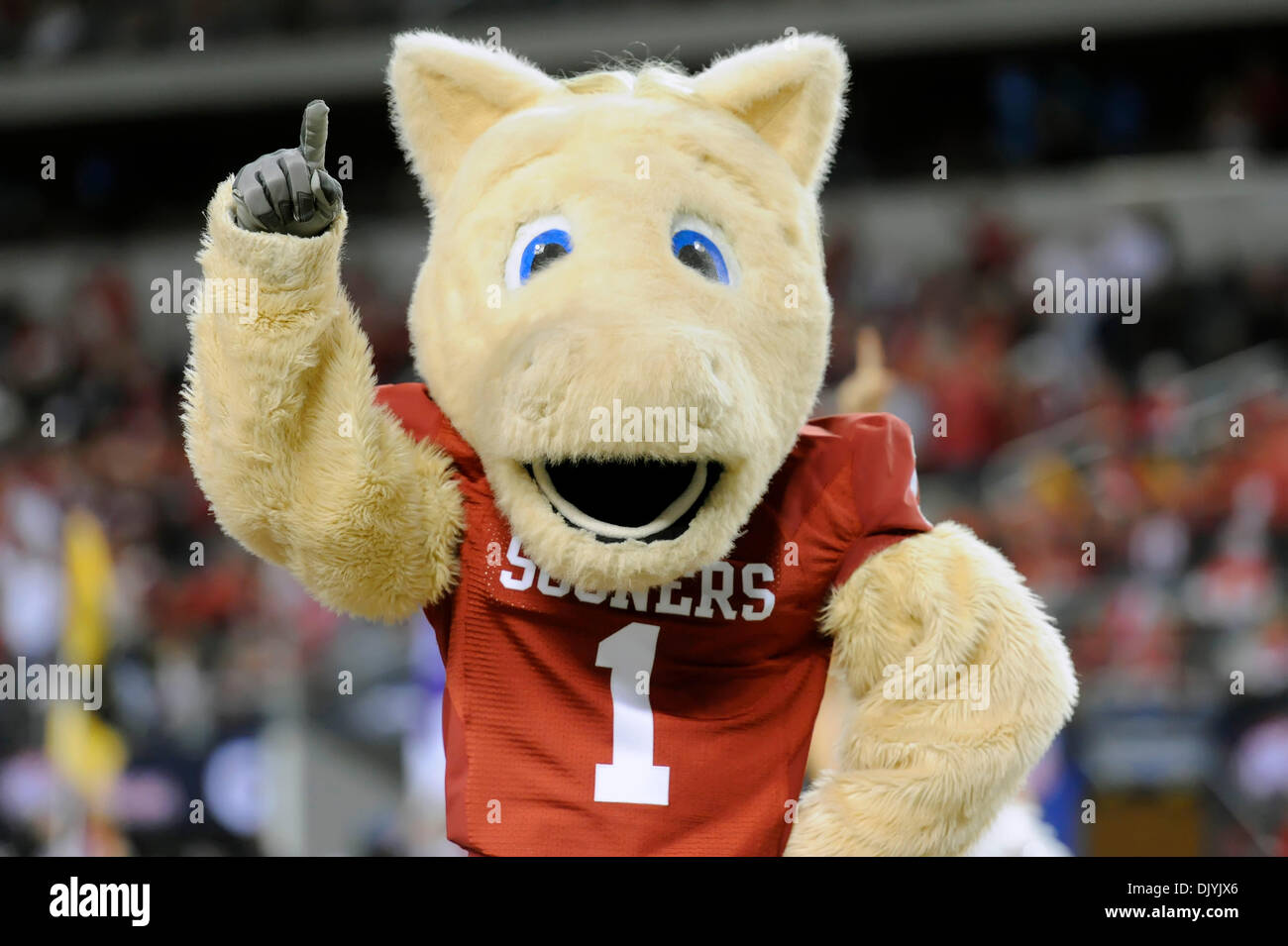 Dec. 4, 2010 - Arlington, Texas, United States of America - Oklahoma mascot Boomer during game action as the #9 Oklahoma Sooners defeats the #13 Nebraska Cornhuskers in the 2010 Dr Pepper Football Championship game 23-20 at Cowboys Stadium in Arlington, Texas. (Credit Image: © Steven Leija/Southcreek Global/ZUMAPRESS.com) Stock Photo