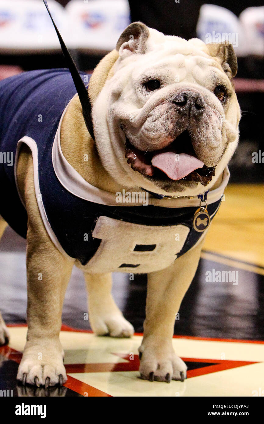 Izod center hires stock photography and images Alamy