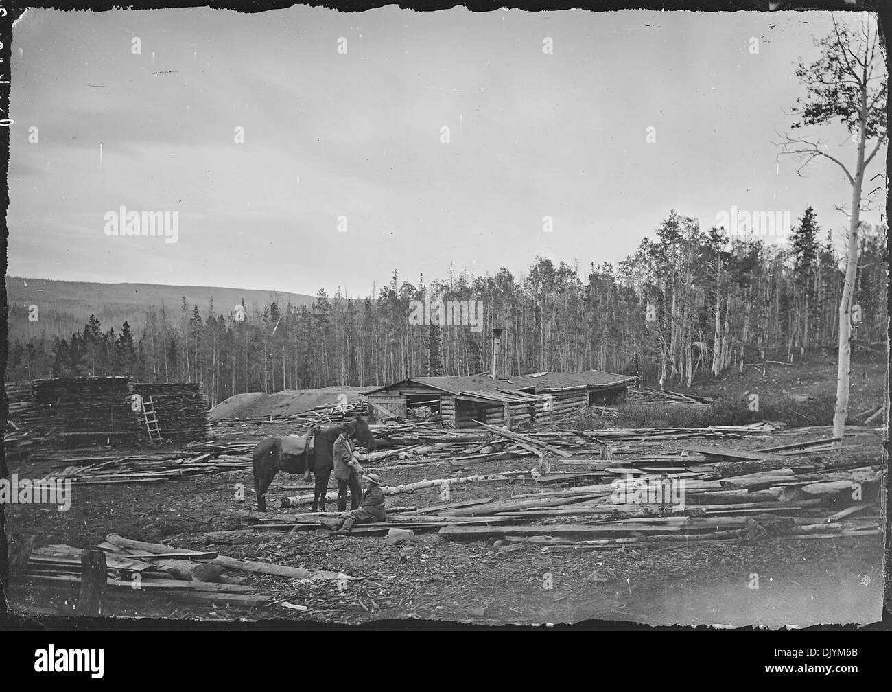 A saw mill in the Uinta Mountains, Summit County, Utah 516920 Stock