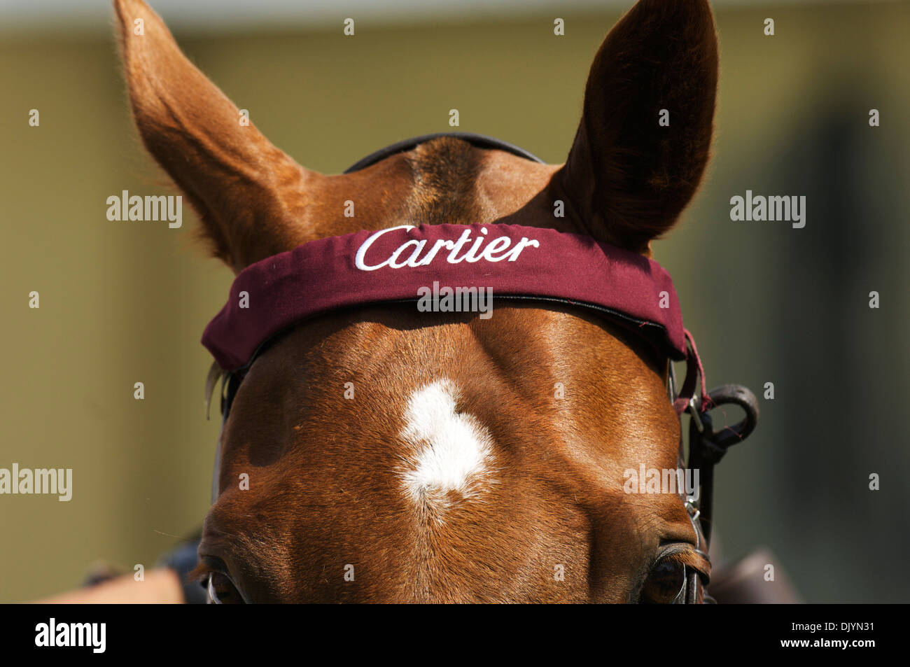 cartier horse