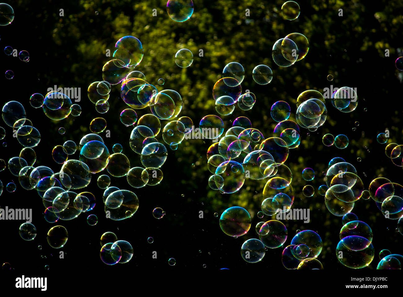 floating bubbles