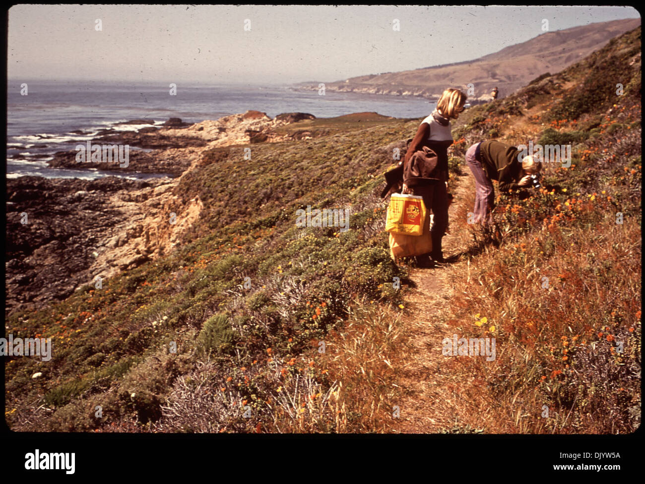 CALIFORNIA-SHELL BEACH POINT 543316 Stock Photo - Alamy