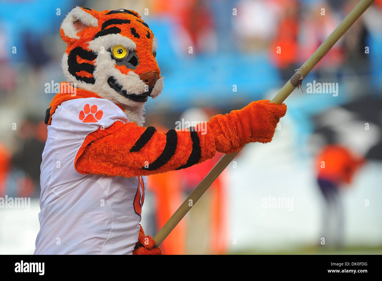556 Clemson Mascot Stock Photos, High-Res Pictures, and Images - Getty  Images