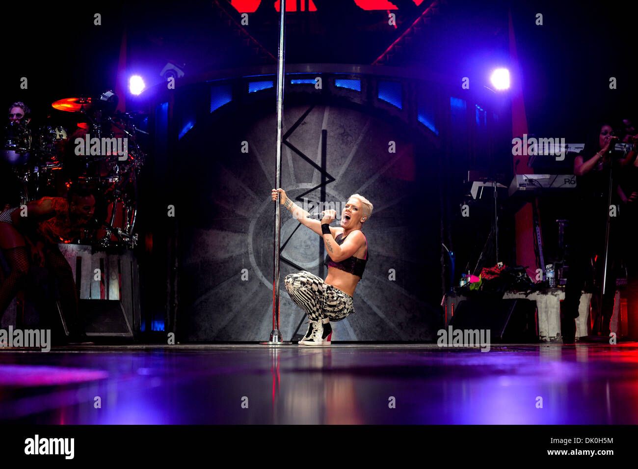Toronto, Ontario, Canada. 30th Nov, 2013. American singer-songwriter and actress PINK (stylized as P!nk) performed at Air Canada Centre in Toronto as a part of her 'Truth About Love' tour. Credit:  Igor Vidyashev/ZUMAPRESS.com/Alamy Live News Stock Photo