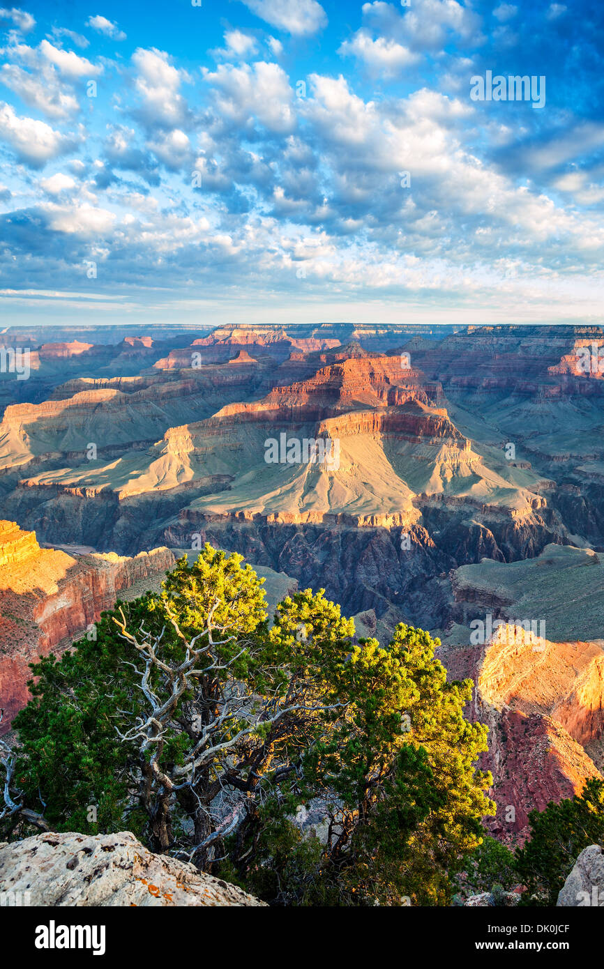 Grand Canyon with morning light, USA Stock Photo