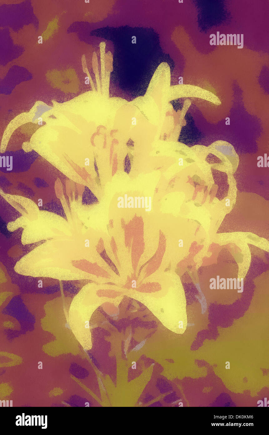 Lily (Latin Lílium) genus of plants in the family Liliaceae