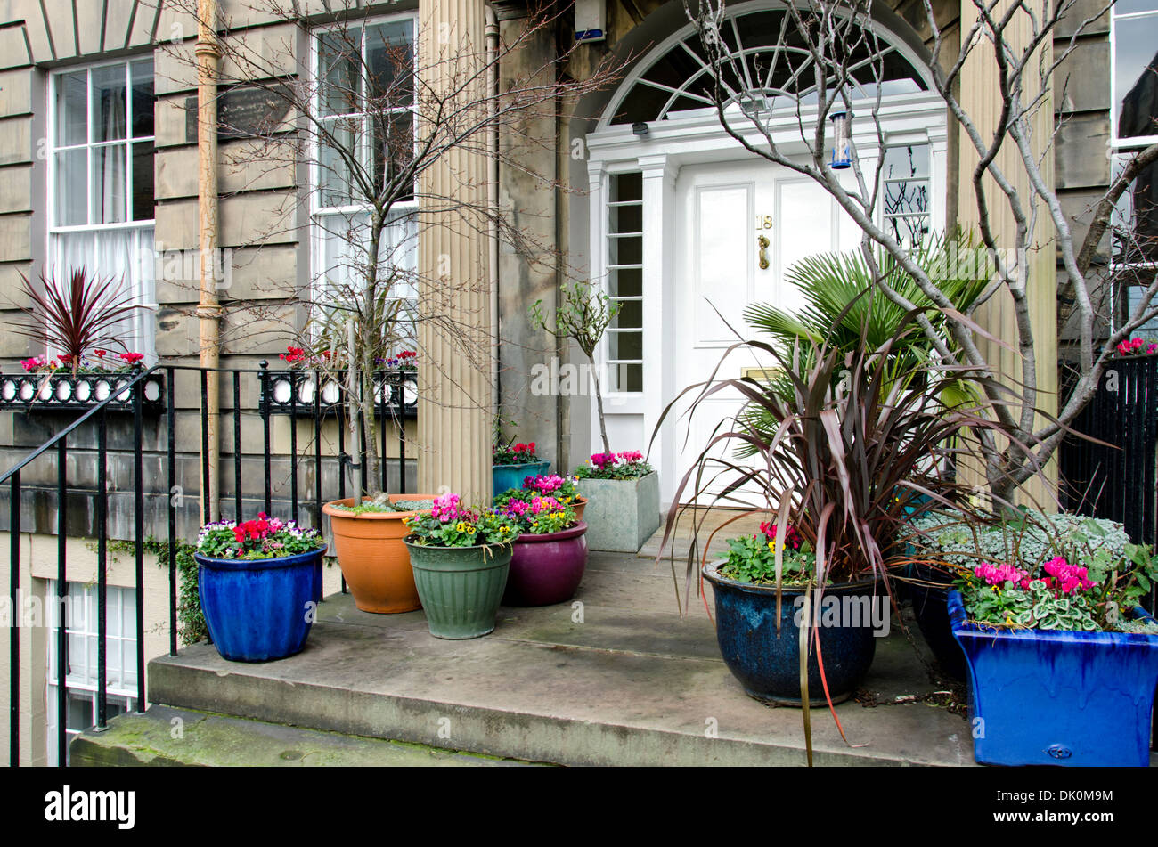 Some Winter colour on the doorstep of a residence in Edinburgh's New Town. Stock Photo