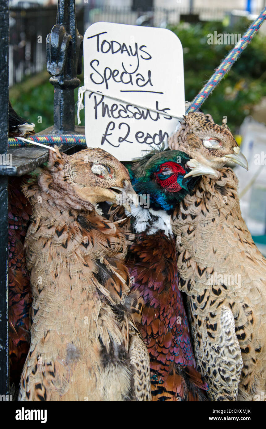 Today's Special: pheasants for sale in Stockbridge Sunday Market in Edinburgh. Stock Photo