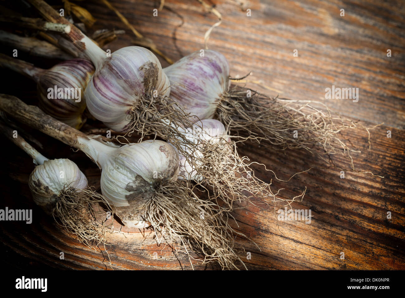 Freshly dried garlic against old wooden planks Stock Photo