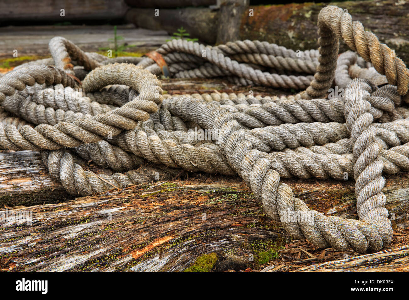 Vintage rope at the Algonquin Logging Museum, Algonquin Provincial Park, Ontario, Canada Stock Photo