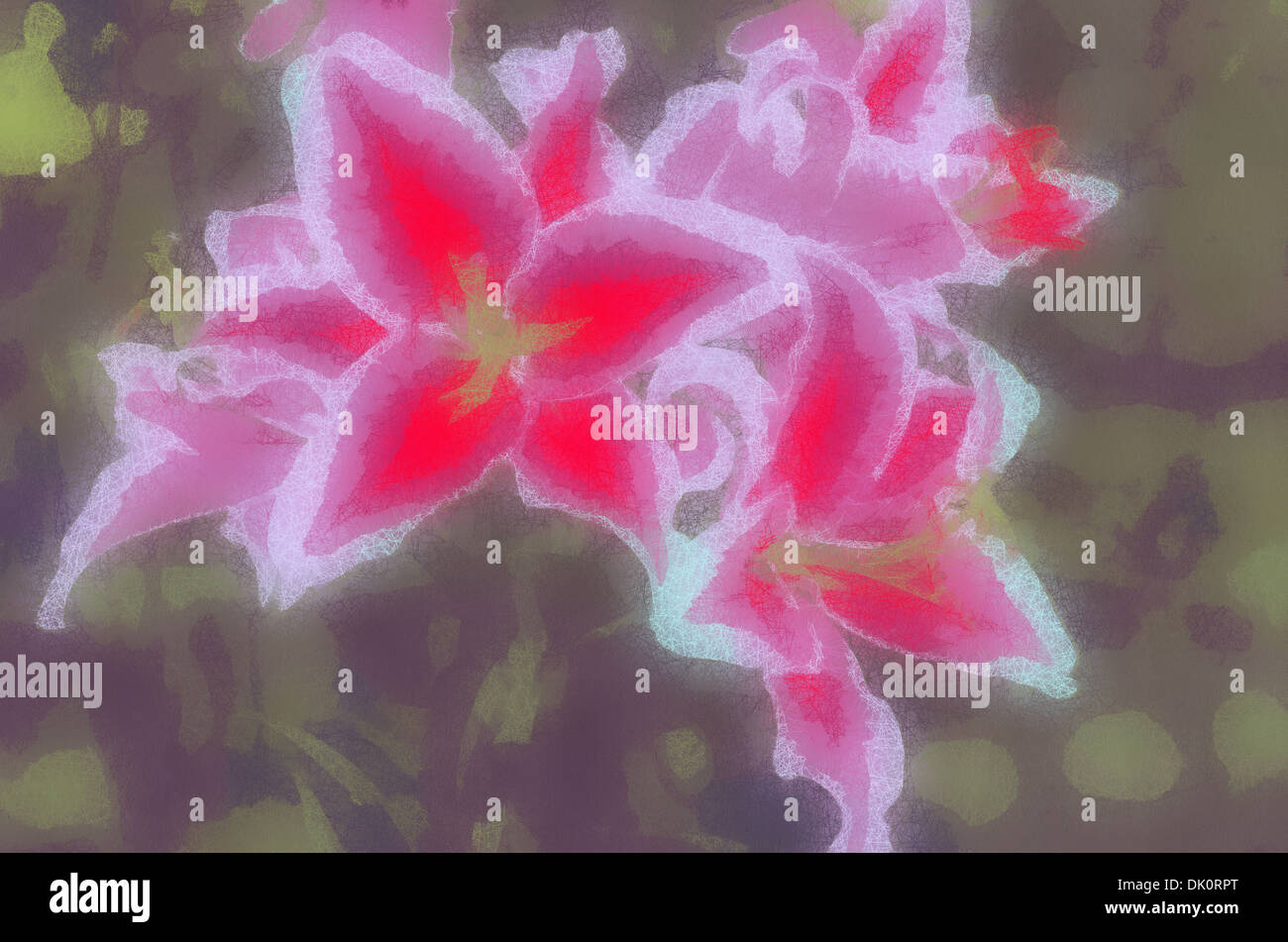 Lily (Latin Lílium) genus of plants in the family Liliaceae