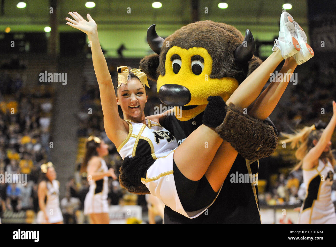 Jan. 8, 2011 - Boulder, Colorado, United States of America - CU Mascot CHIP carries a cheerleader off the floor. The Colorado Buffaloes defeated the #9 ranked Missouri Tigers by a score of 89 to 76 at the half at Coors Event Center. (Credit Image: © Andrew Fielding/Southcreek Global/ZUMAPRESS.com) Stock Photo