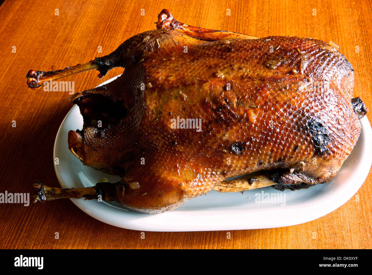 Slow oven braised wild Canada goose ceramic serving plate Stock Photo