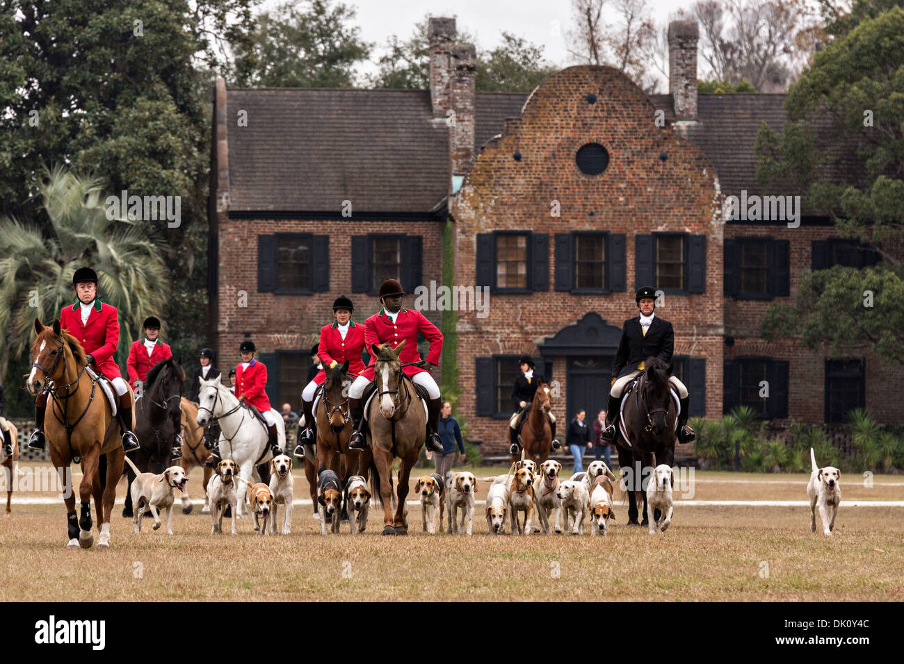 Middleton Hunt Huntsman Jamie Green leads the hounds in the first fox hunt of the ...