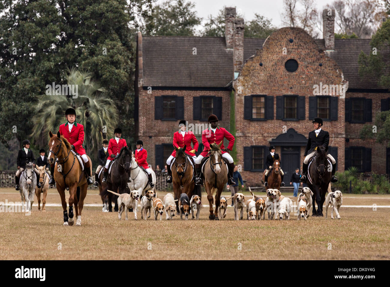Middleton Hunt Hounds middleton place fox hunt hi-res stock photography and images - Alamy