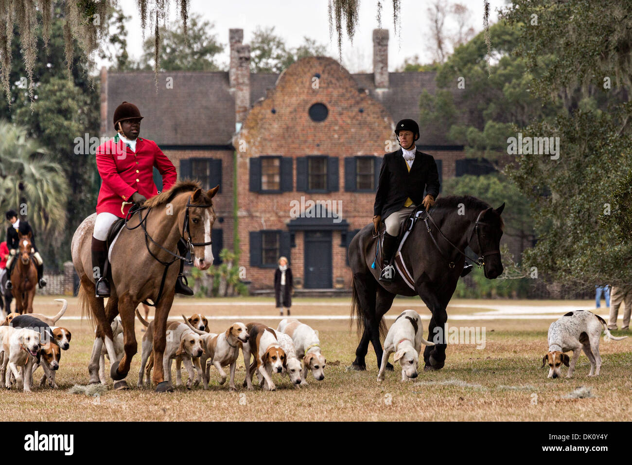 Middleton Hunt Huntsman Jamie Green leads the hounds in the first fox hunt of the ...