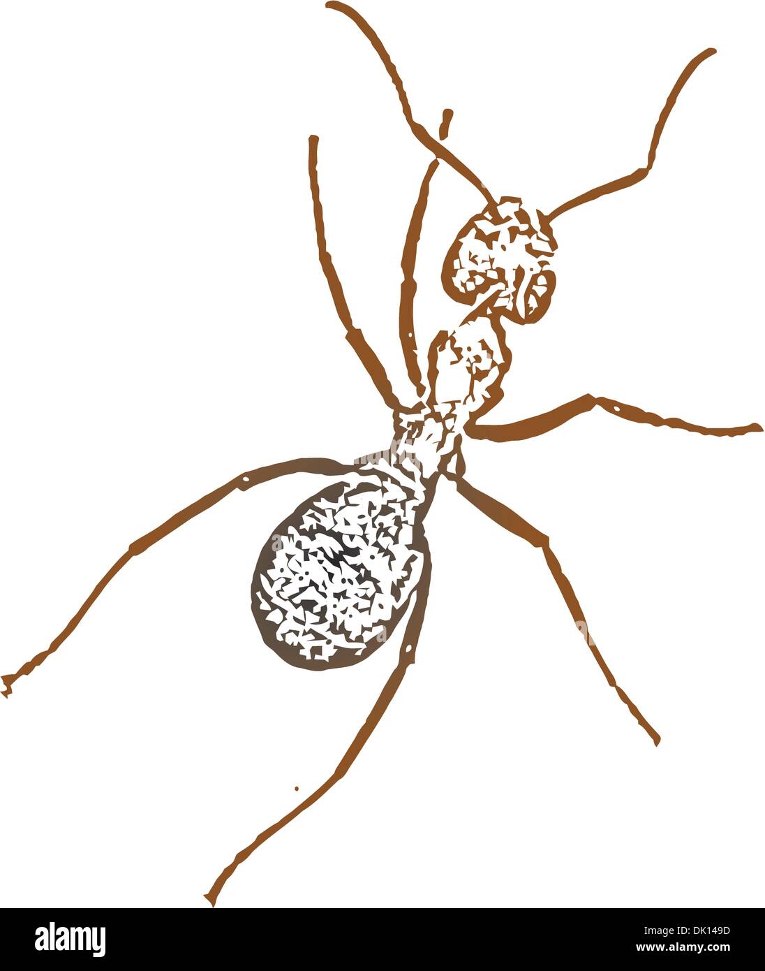 Vector image of a ant Stock Vector Image & Art - Alamy