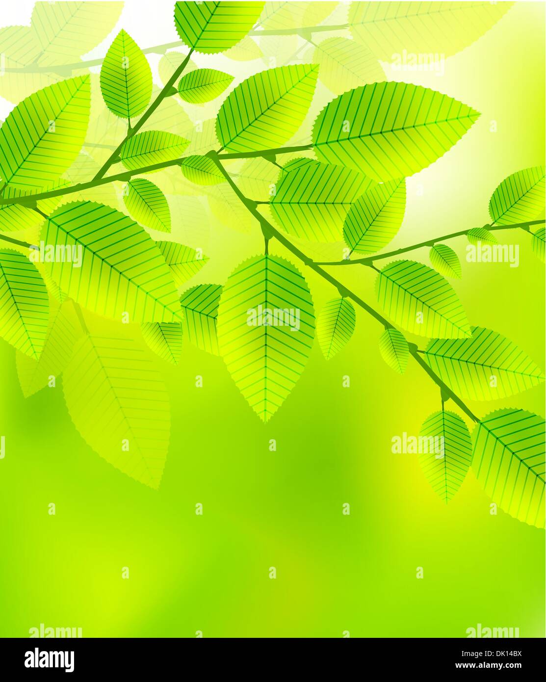 Nature background with green leaves Stock Vector Image & Art - Alamy